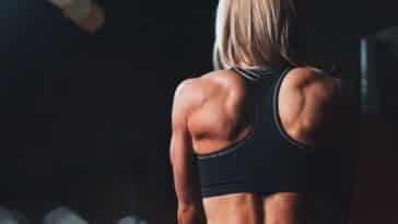 royal-posture-recensioni