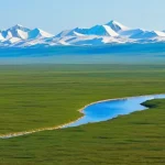 are_main_geographical_differences_climatic_vegetation_steppe_taiga_tundra-0